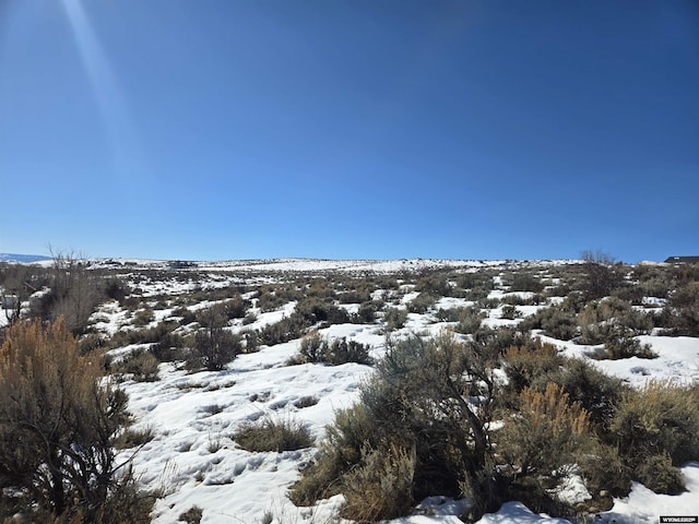 view of snow covered land