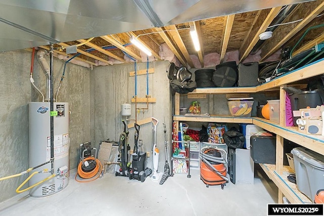 storage room with gas water heater