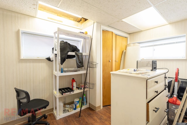 below grade area featuring a wealth of natural light, a drop ceiling, and wood finished floors