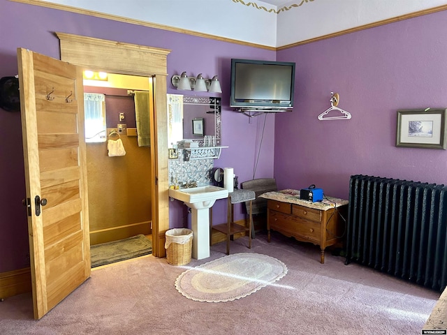 carpeted bedroom featuring radiator heating unit, baseboards, and a sink