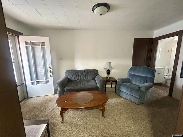 sitting room featuring carpet flooring