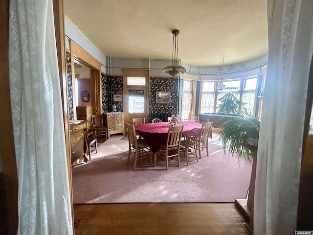 dining room featuring carpet floors