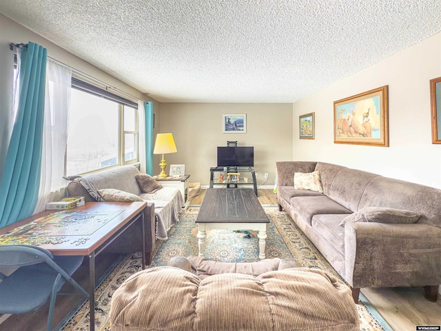 living area featuring wood finished floors, baseboards, and a textured ceiling