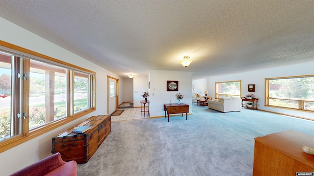 living area featuring a textured ceiling and carpet