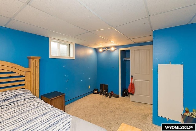 unfurnished bedroom with a closet, a drop ceiling, and carpet flooring