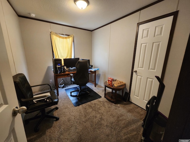 carpeted office space featuring a textured ceiling and ornamental molding