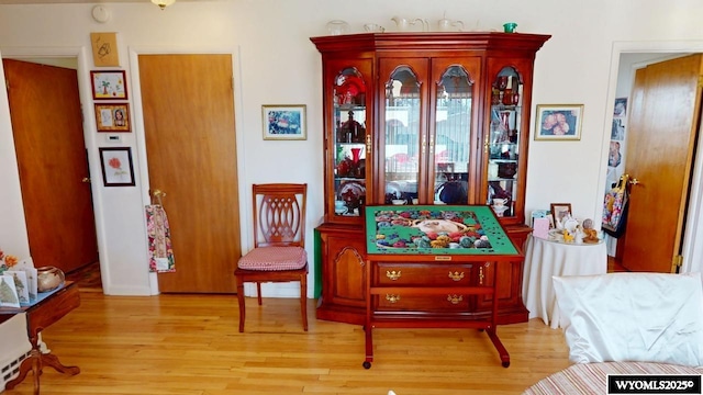 living area featuring wood finished floors