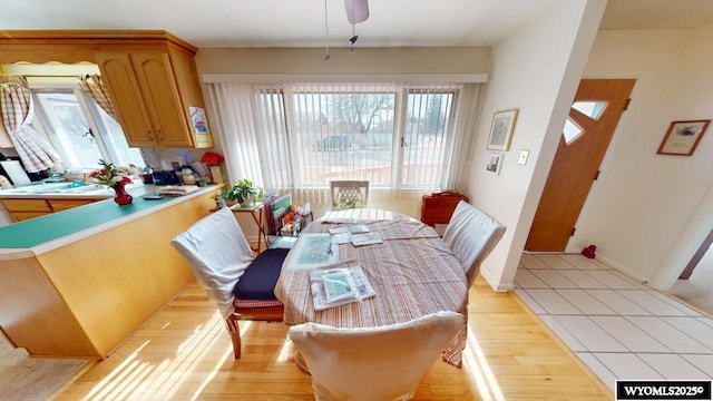 dining room with a healthy amount of sunlight, light wood-style floors, and baseboards