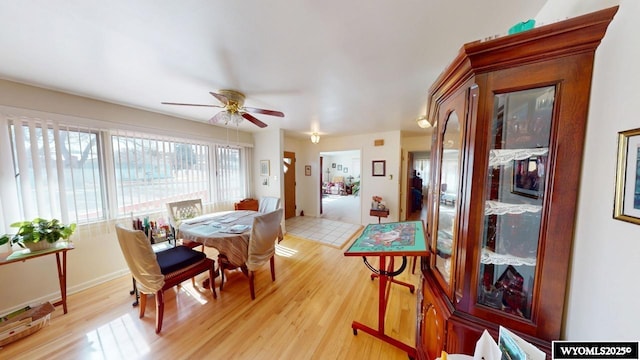 dining area featuring ceiling fan and light wood-style floors