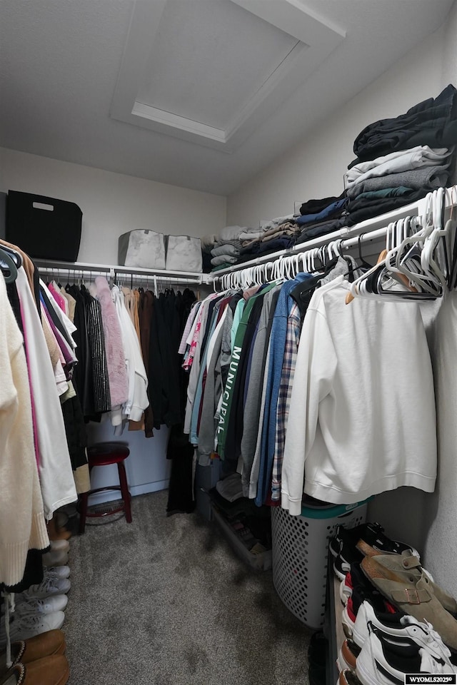 walk in closet featuring carpet and attic access