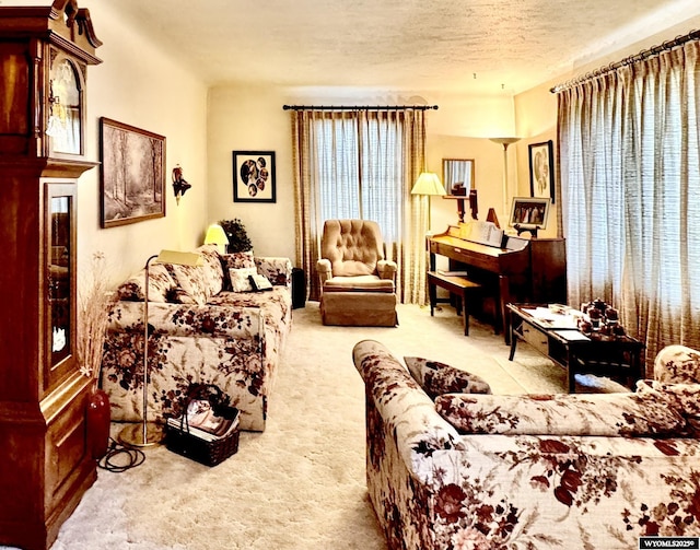 carpeted living room featuring a textured ceiling