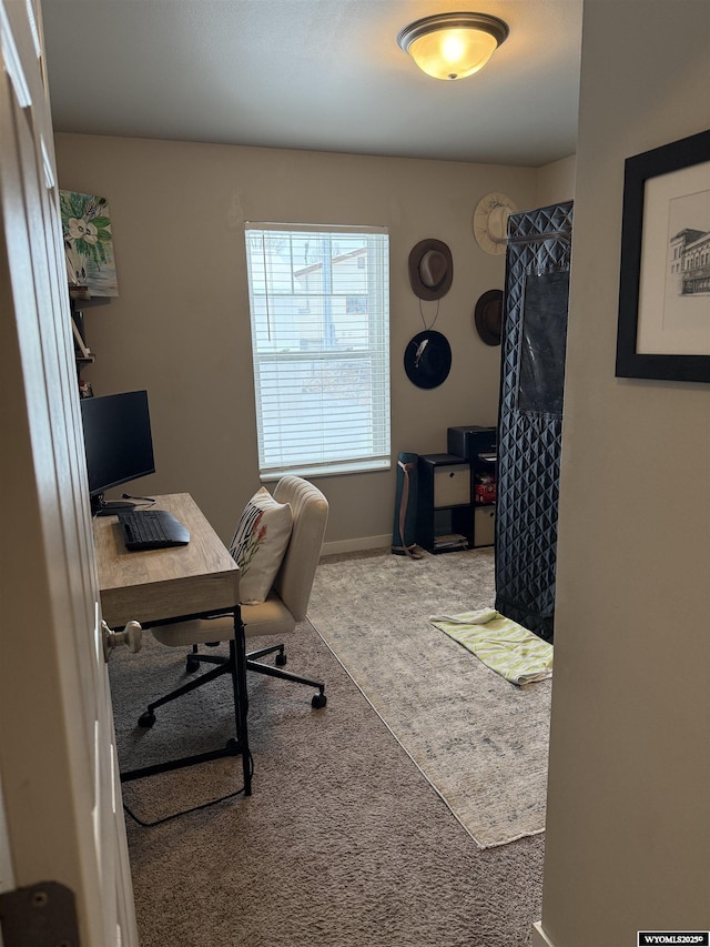 office with carpet and baseboards