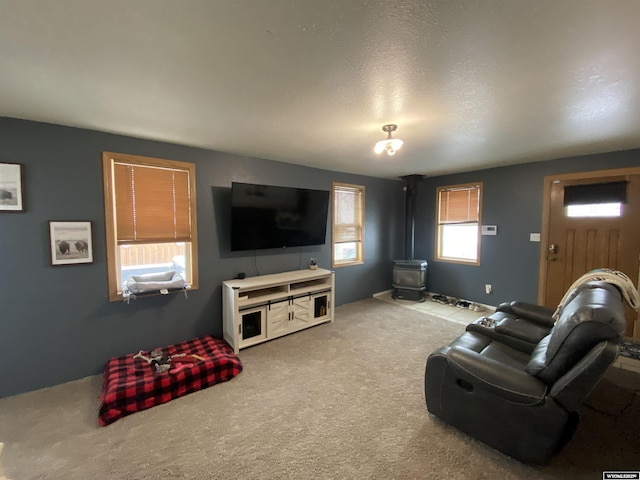 living room featuring carpet floors and a wood stove