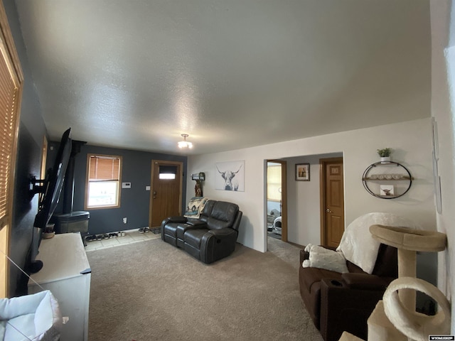 living area with a textured ceiling and light colored carpet