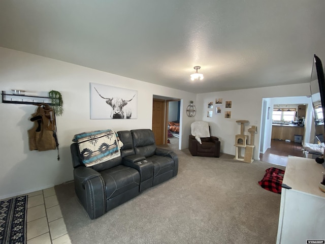 tiled living room featuring carpet