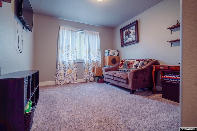 living room with carpet floors and baseboards