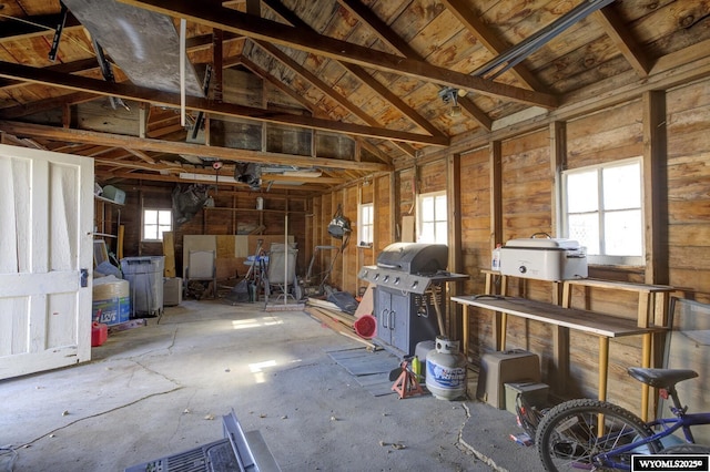 misc room featuring a garage, lofted ceiling, and a healthy amount of sunlight