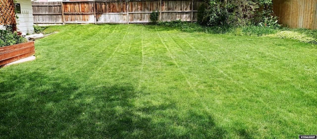 view of yard with fence