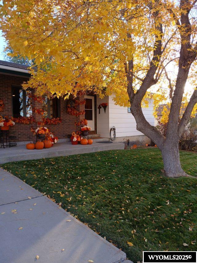 view of front of property featuring brick siding and a front yard