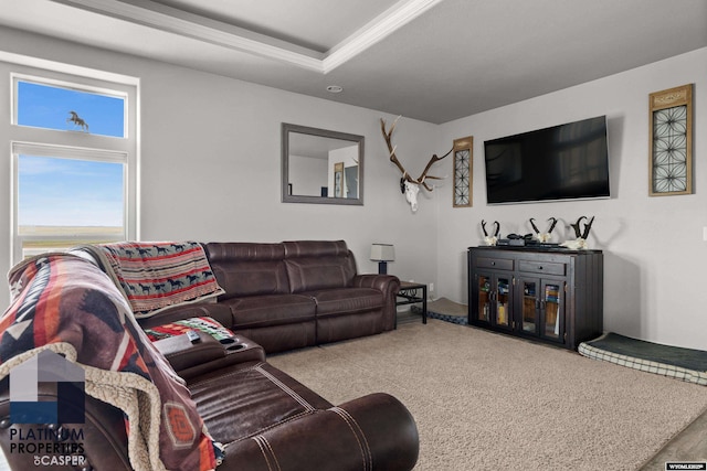 carpeted living room featuring a tray ceiling