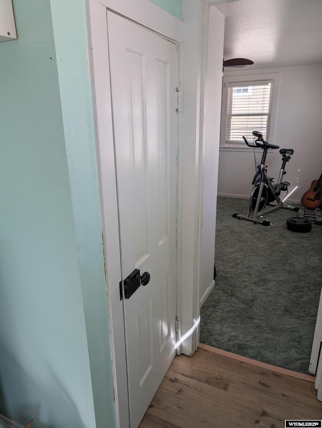 corridor with carpet flooring, baseboards, and wood finished floors