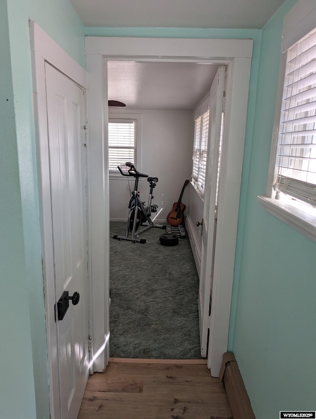 workout area with light carpet, light wood-style floors, and a wealth of natural light