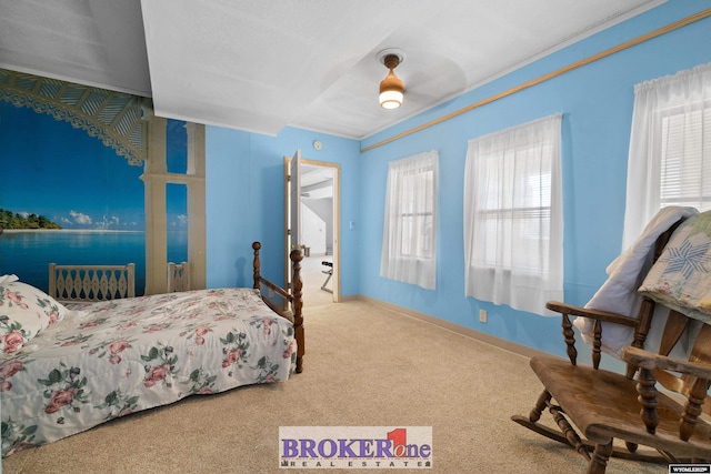 bedroom featuring baseboards and carpet floors