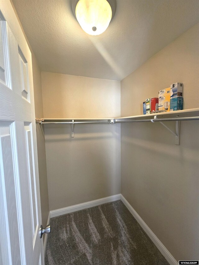 walk in closet featuring dark carpet