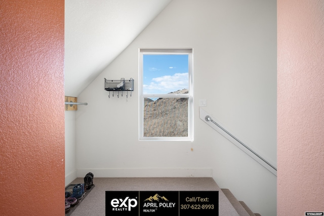 bonus room with lofted ceiling and carpet floors