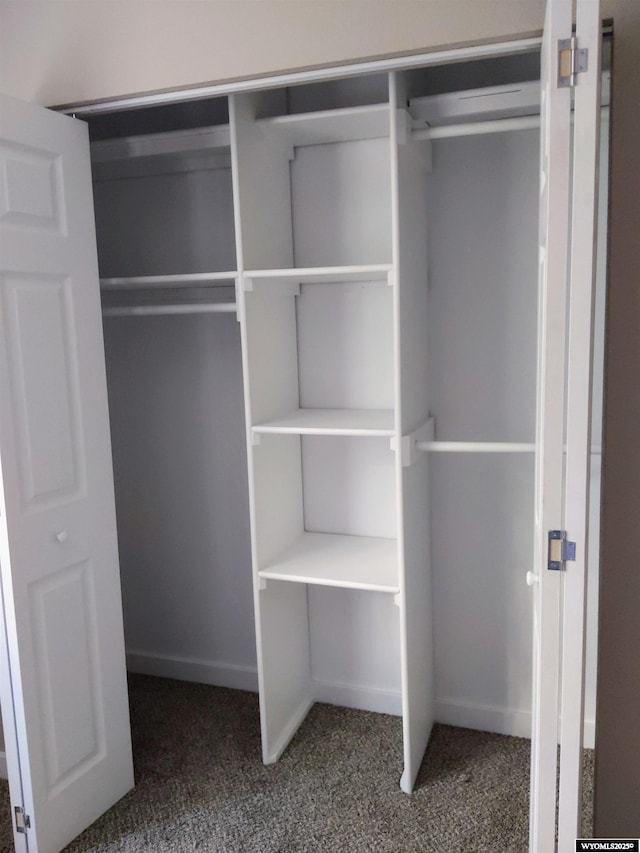 view of closet