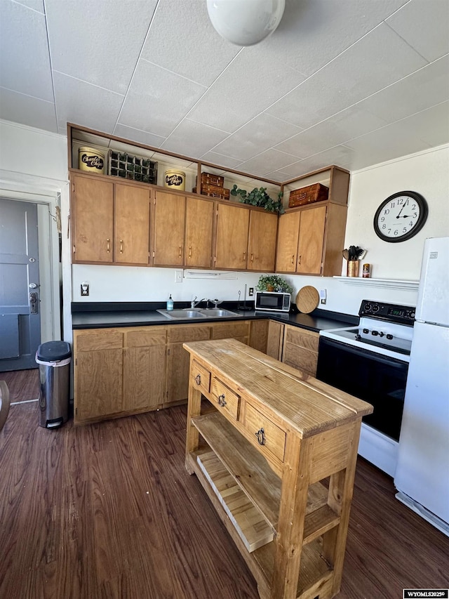 kitchen with a sink, range with electric cooktop, dark wood finished floors, and freestanding refrigerator