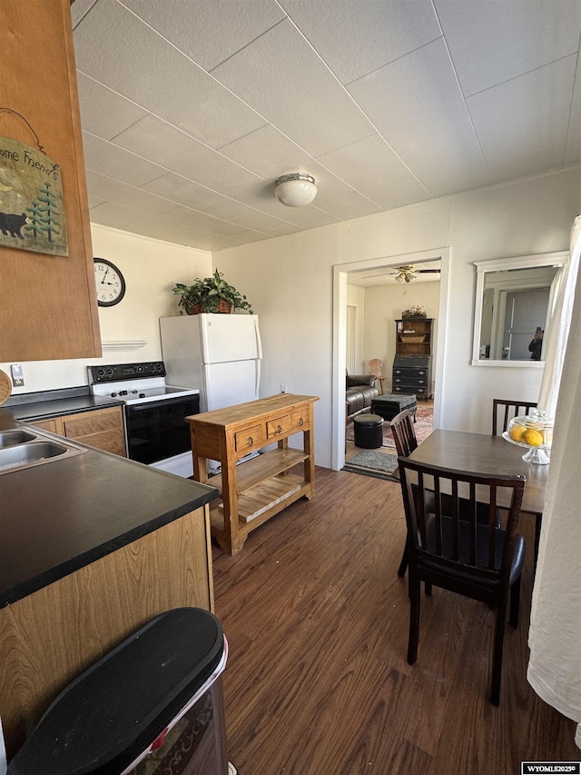 kitchen featuring wood finished floors, freestanding refrigerator, a sink, electric stove, and dark countertops