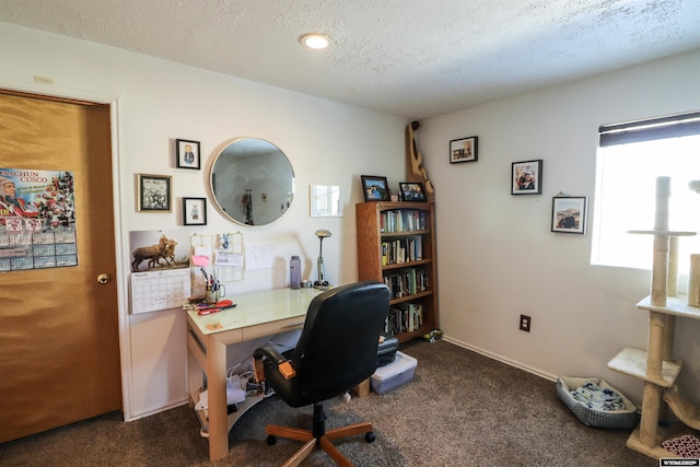 office featuring carpet flooring and a textured ceiling