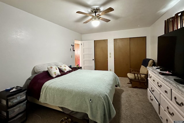 bedroom with ceiling fan, two closets, and carpet