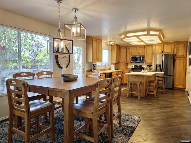 dining room featuring dark wood finished floors