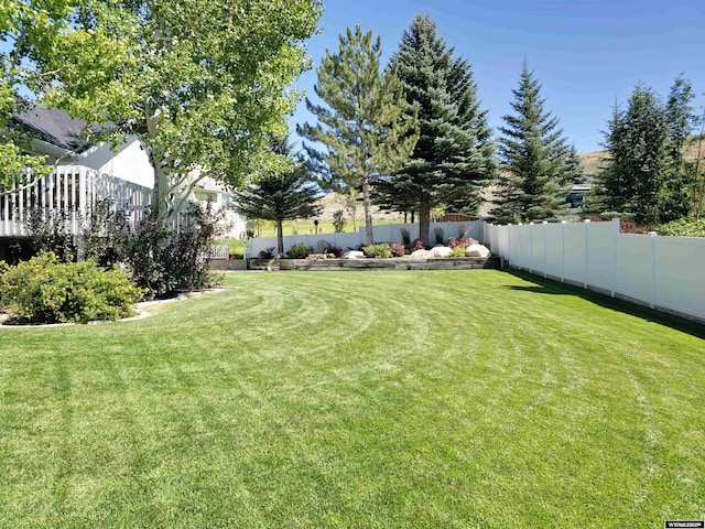 view of yard with a fenced backyard