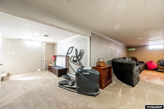 below grade area featuring carpet flooring, a textured wall, and ornamental molding