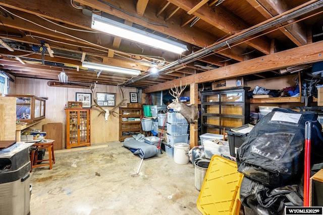 view of unfinished basement