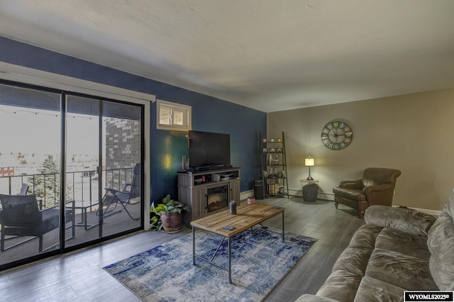 living room featuring hardwood / wood-style floors, a fireplace, baseboards, and a baseboard heating unit