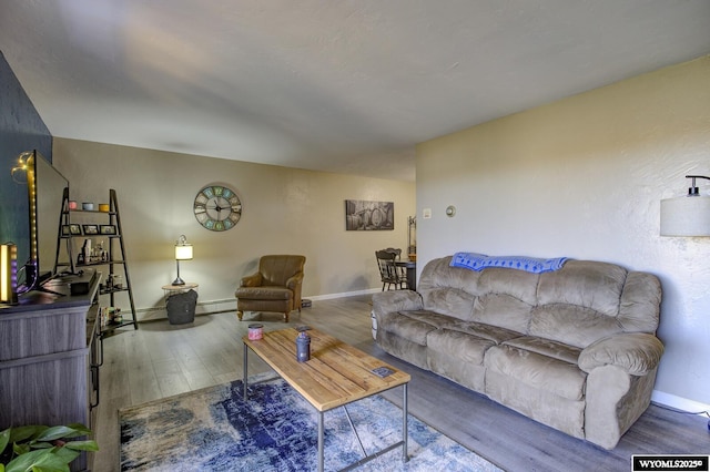 living room with wood finished floors, baseboards, and a baseboard radiator