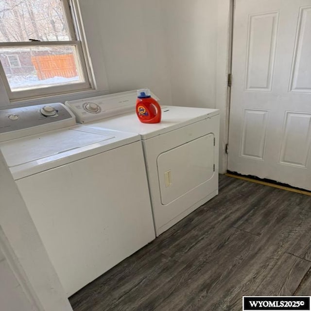 laundry area featuring dark wood-style floors, laundry area, and washing machine and dryer