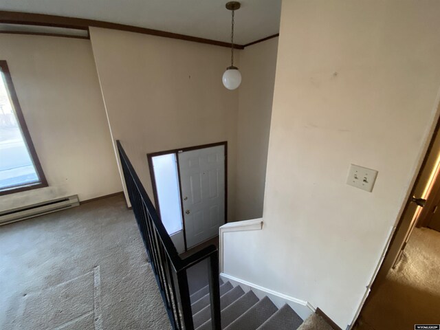 stairway featuring crown molding, carpet, and a baseboard radiator