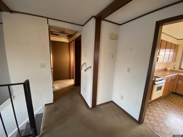 hall featuring baseboards, carpet, and crown molding