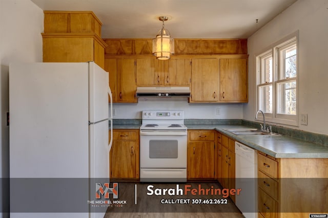 kitchen featuring under cabinet range hood, decorative light fixtures, brown cabinets, white appliances, and a sink