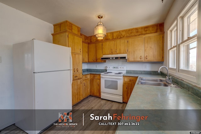 kitchen featuring white appliances, a sink, hanging light fixtures, light wood-style floors, and under cabinet range hood