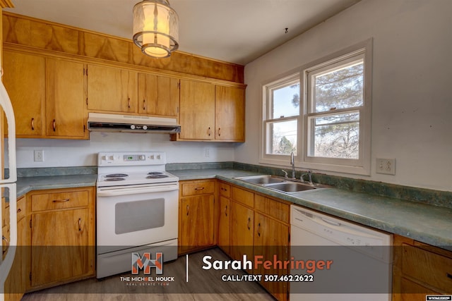 kitchen featuring under cabinet range hood, white appliances, brown cabinetry, and a sink