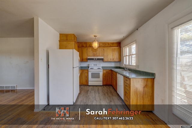 kitchen with white appliances, visible vents, a sink, under cabinet range hood, and light wood-type flooring