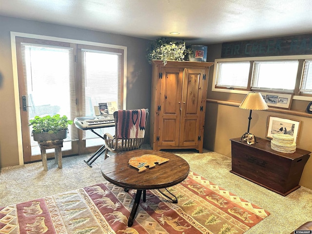 sitting room with carpet floors