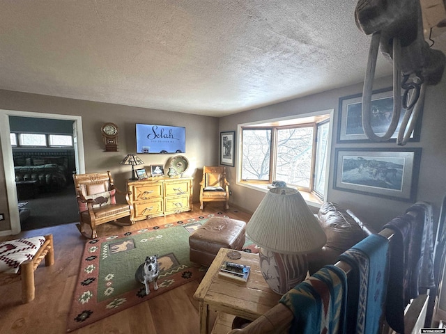 living room featuring wood finished floors and a textured ceiling