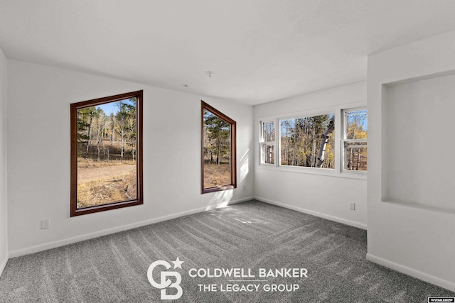 spare room featuring baseboards and carpet floors